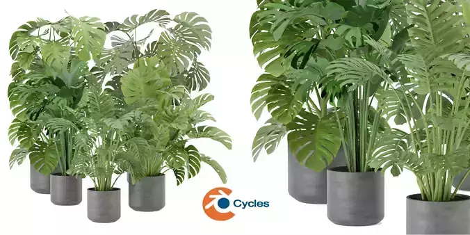 Collection plant vol 334 - blender model  3D model