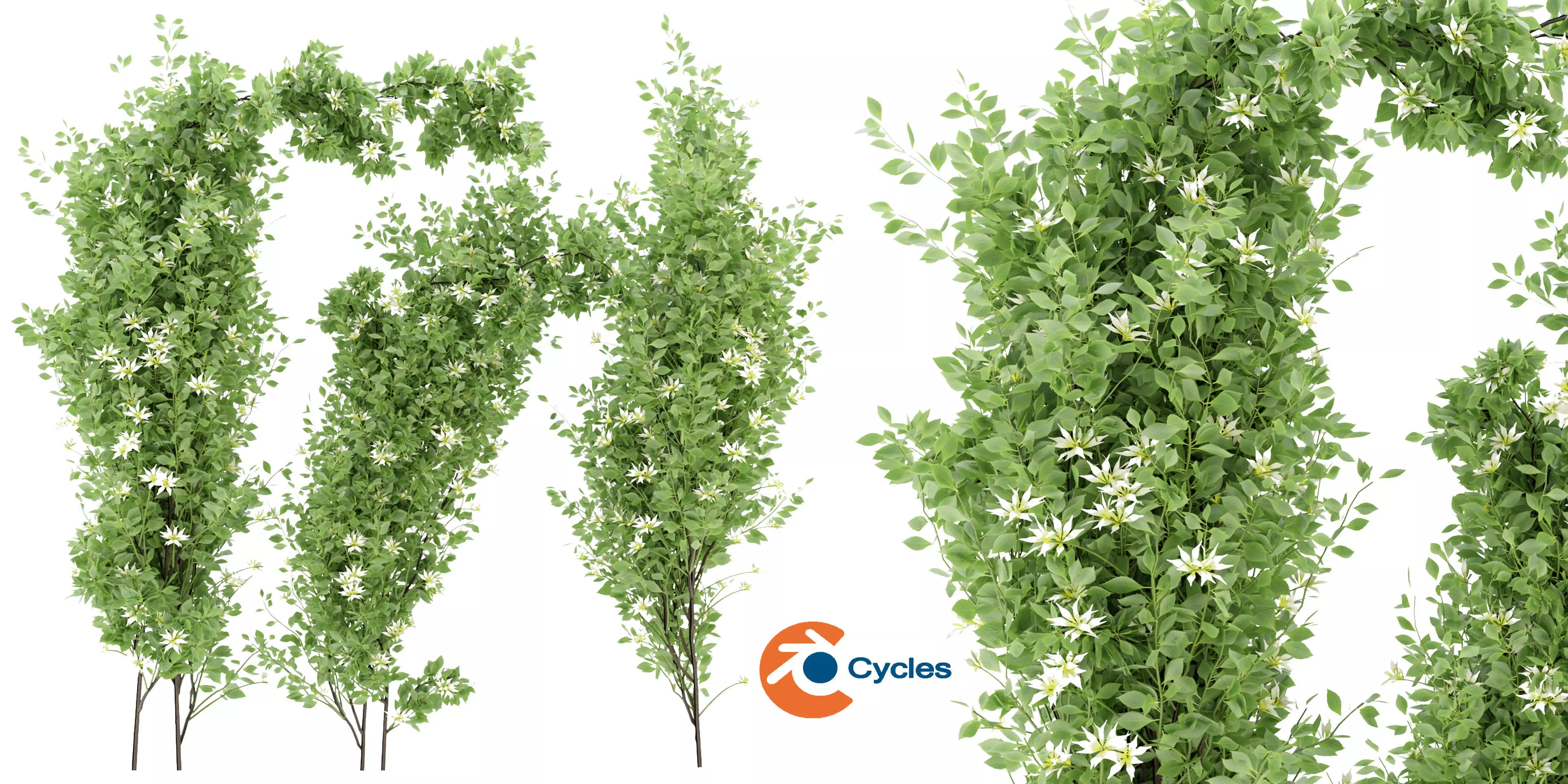 Collection plant vol 337 - blender model  3D model_0