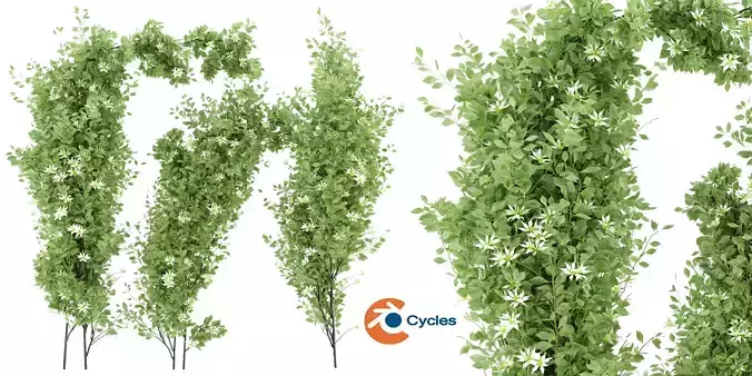 Collection plant vol 337 - blender model 