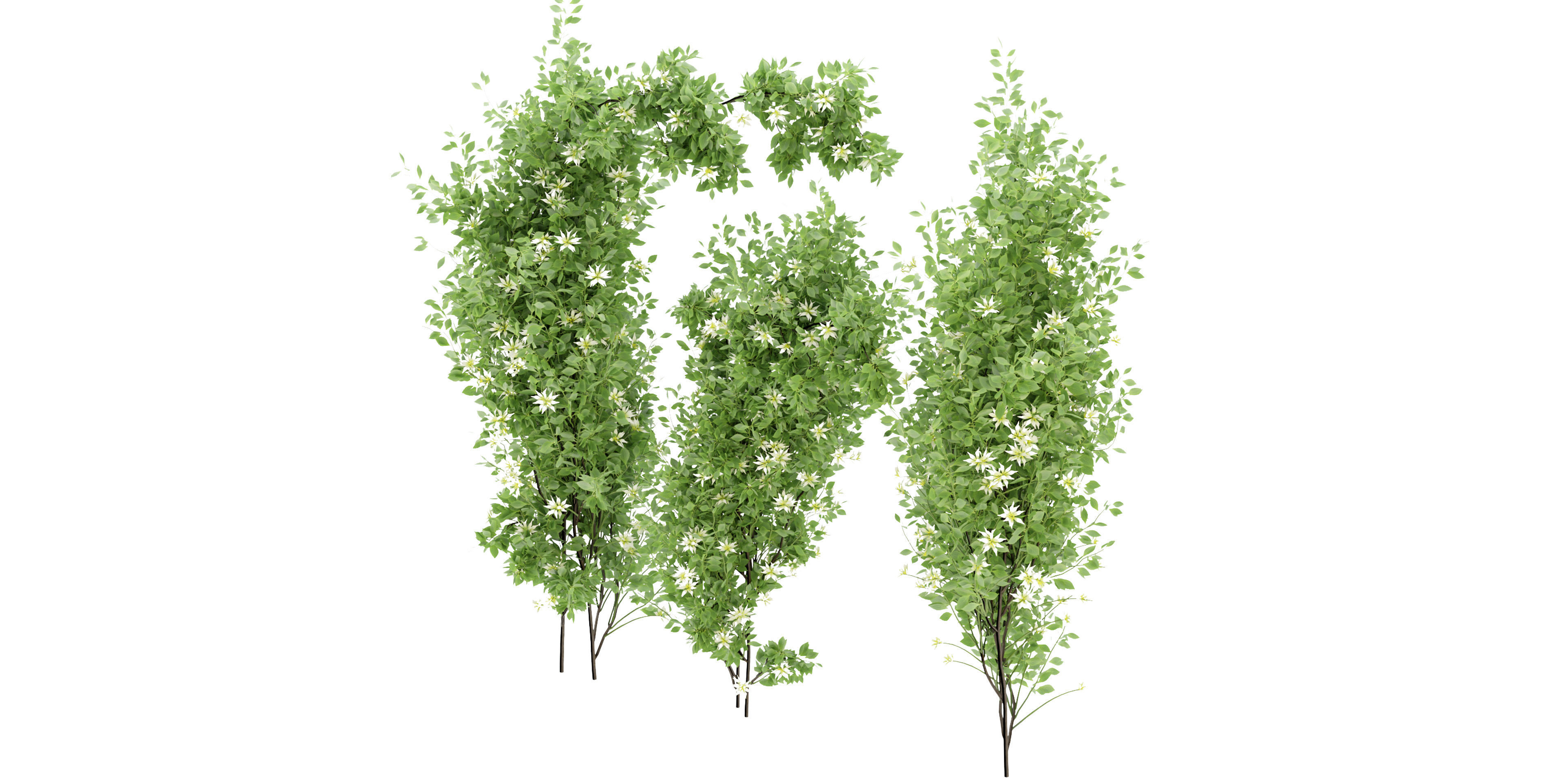 Collection plant vol 337 - blender model  3D model_4