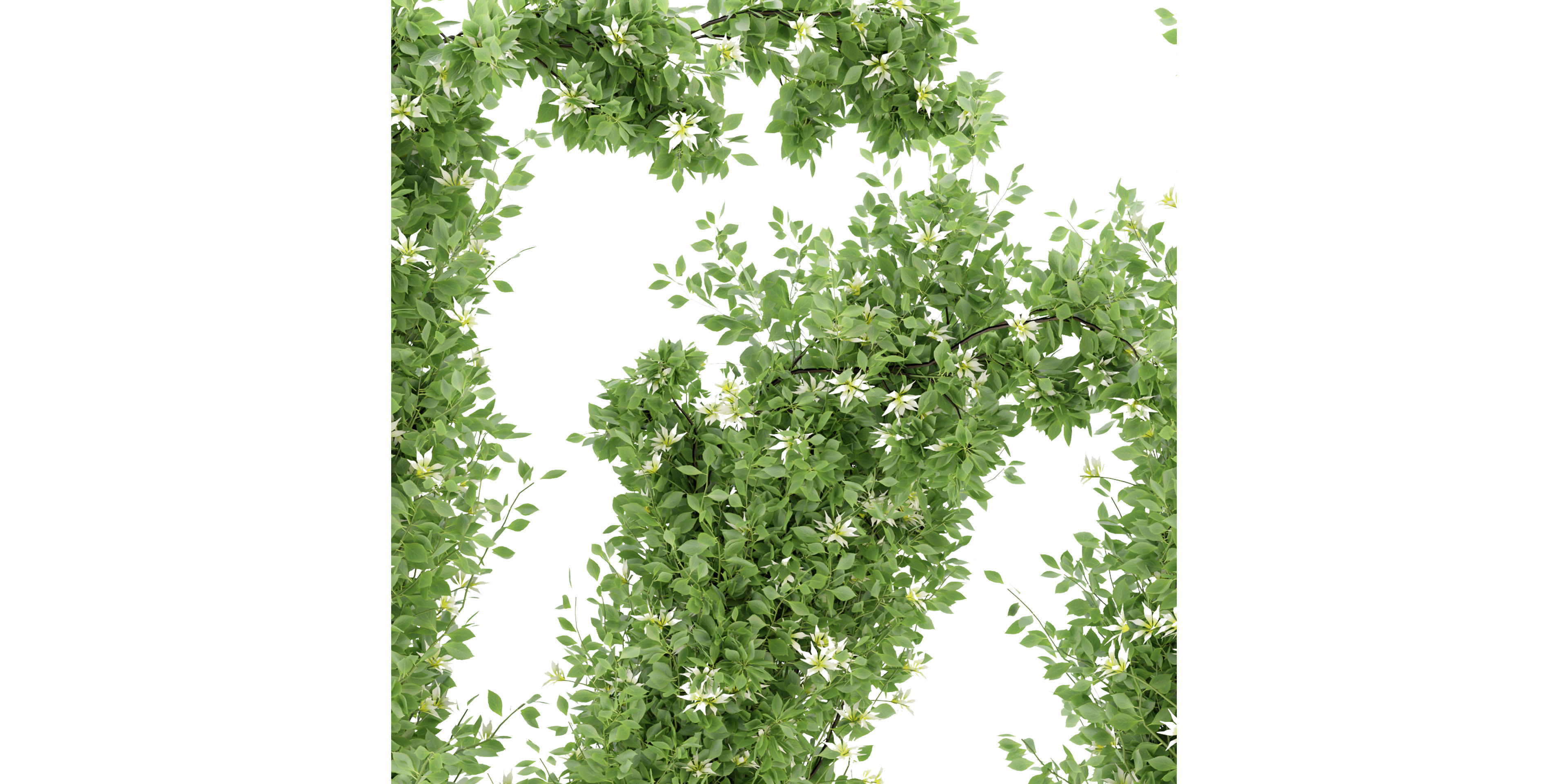 Collection plant vol 337 - blender model  3D model_2