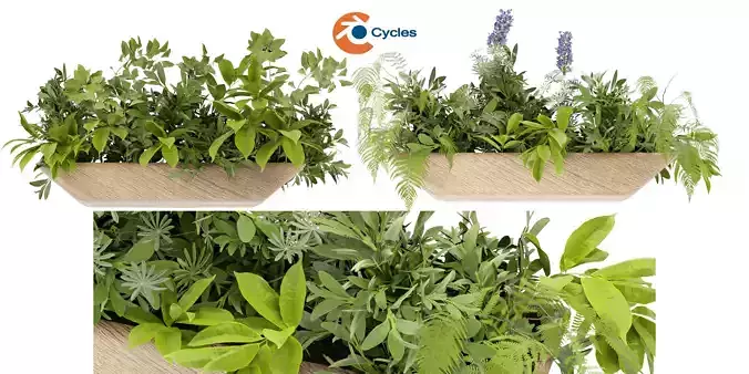 Collection plant vol 339  - blender model 