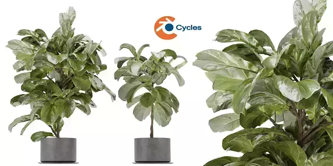 Collection plant vol 340  - blender model 