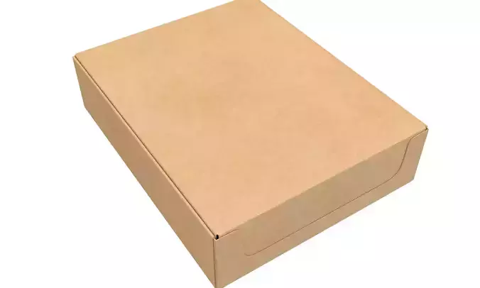 Packaging Box with 3D Product Mockup