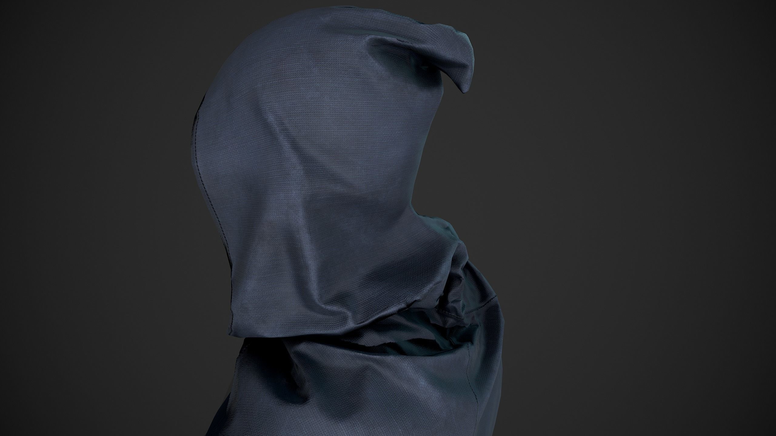 Blue Medieval Hood  Low-poly 3D model_2