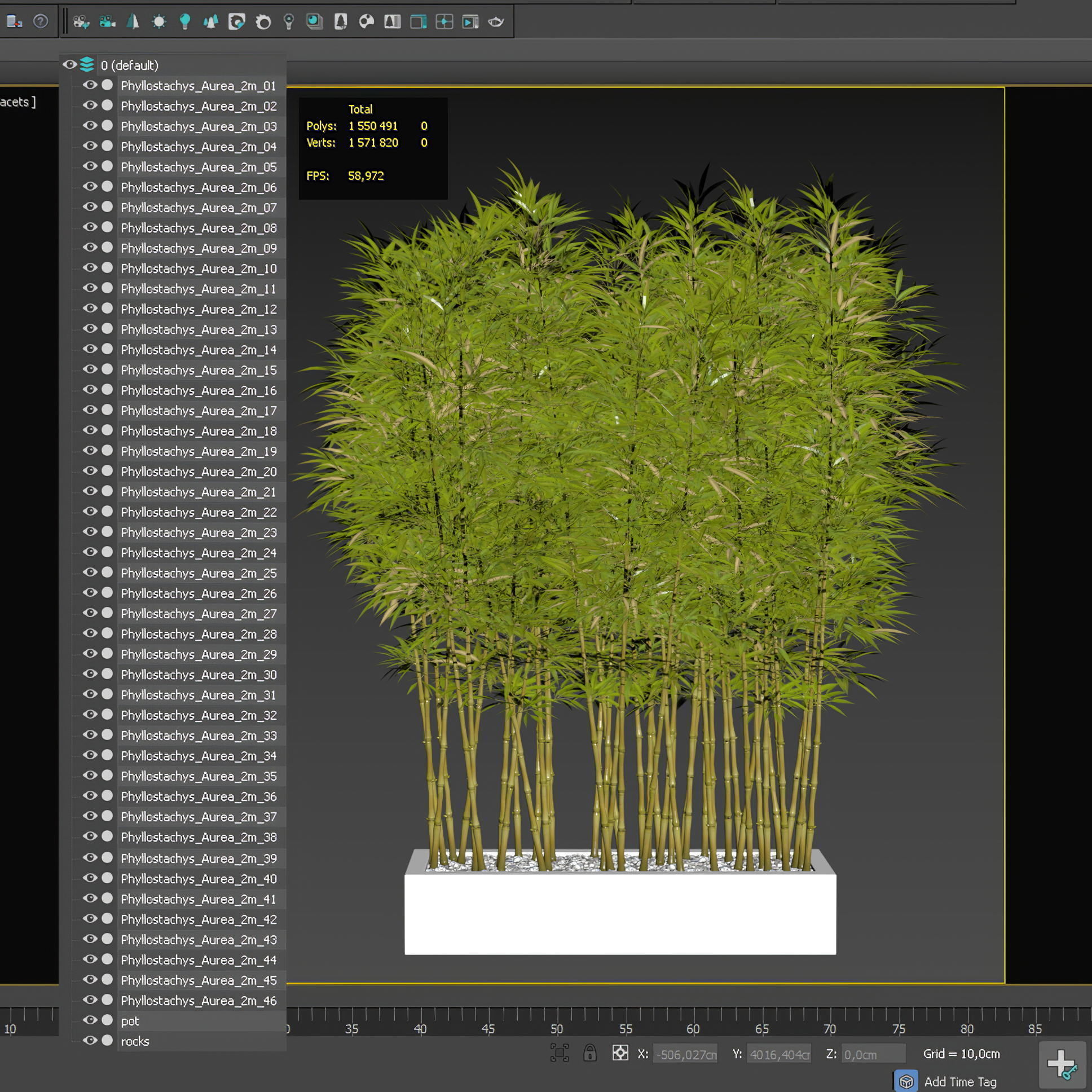Bamboo Phyllostachys Aurea in a flowerpot 3D model_1