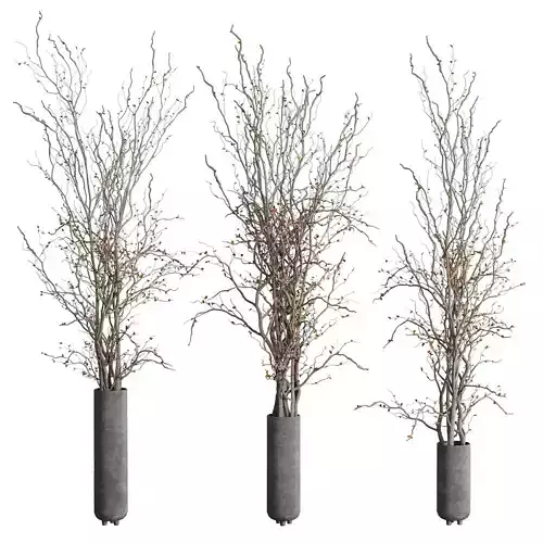 Branches dried autumn tree in a concrete dirty vase - bouquet 32 Low-poly 3D model