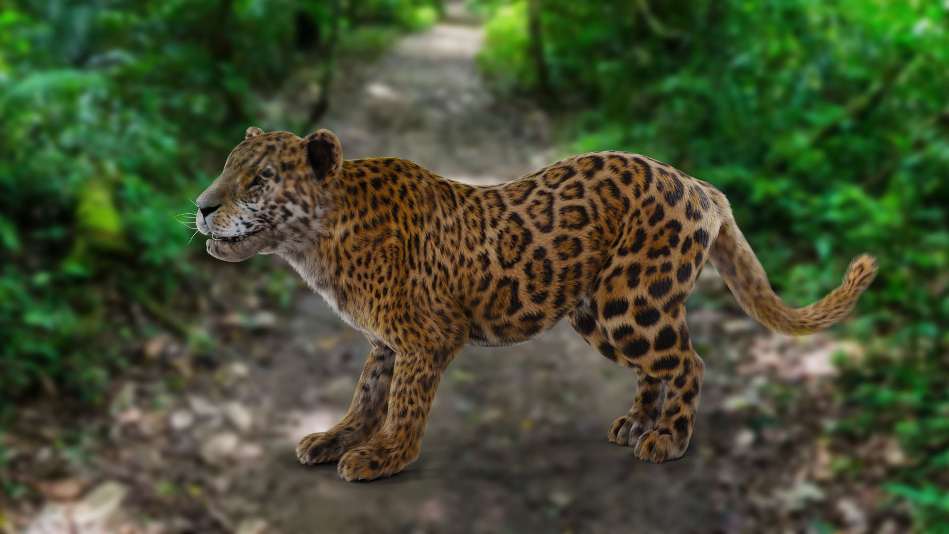Fur Jaguar V02 Panther Rigged in Blender Low-poly 3D model_6