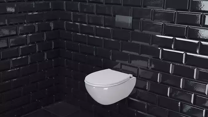 Toilet 1