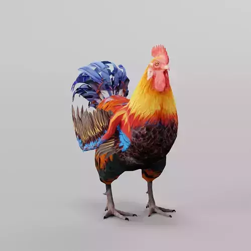 Rooster 3D model