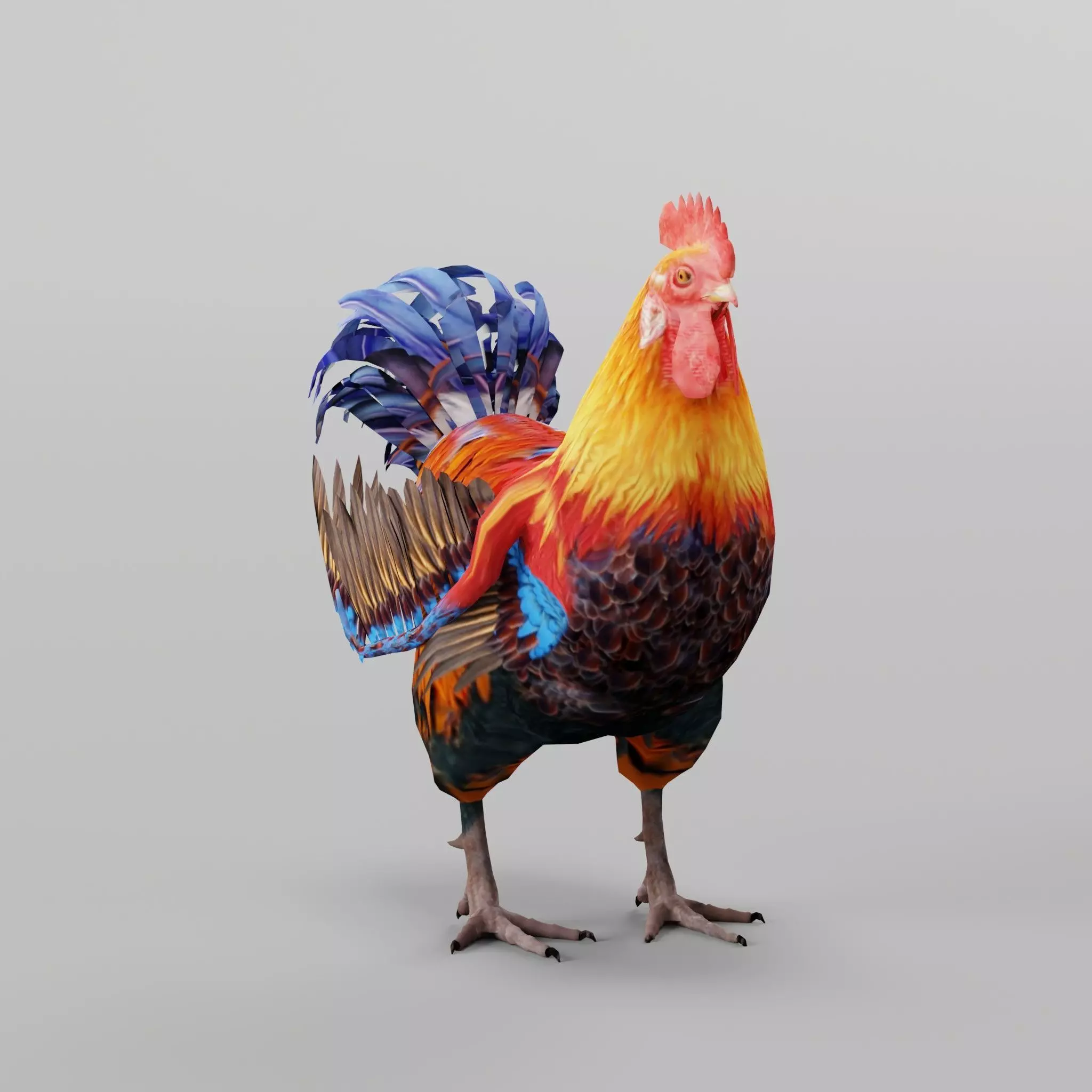 Rooster 3D model_0