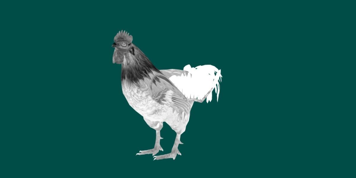 Rooster 3D model_10