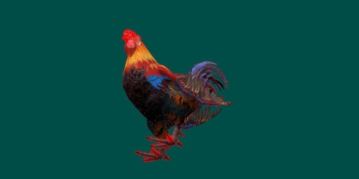 Rooster 3D model_3