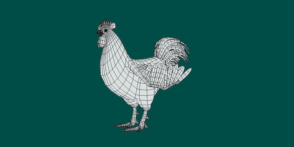 Rooster 3D model_13