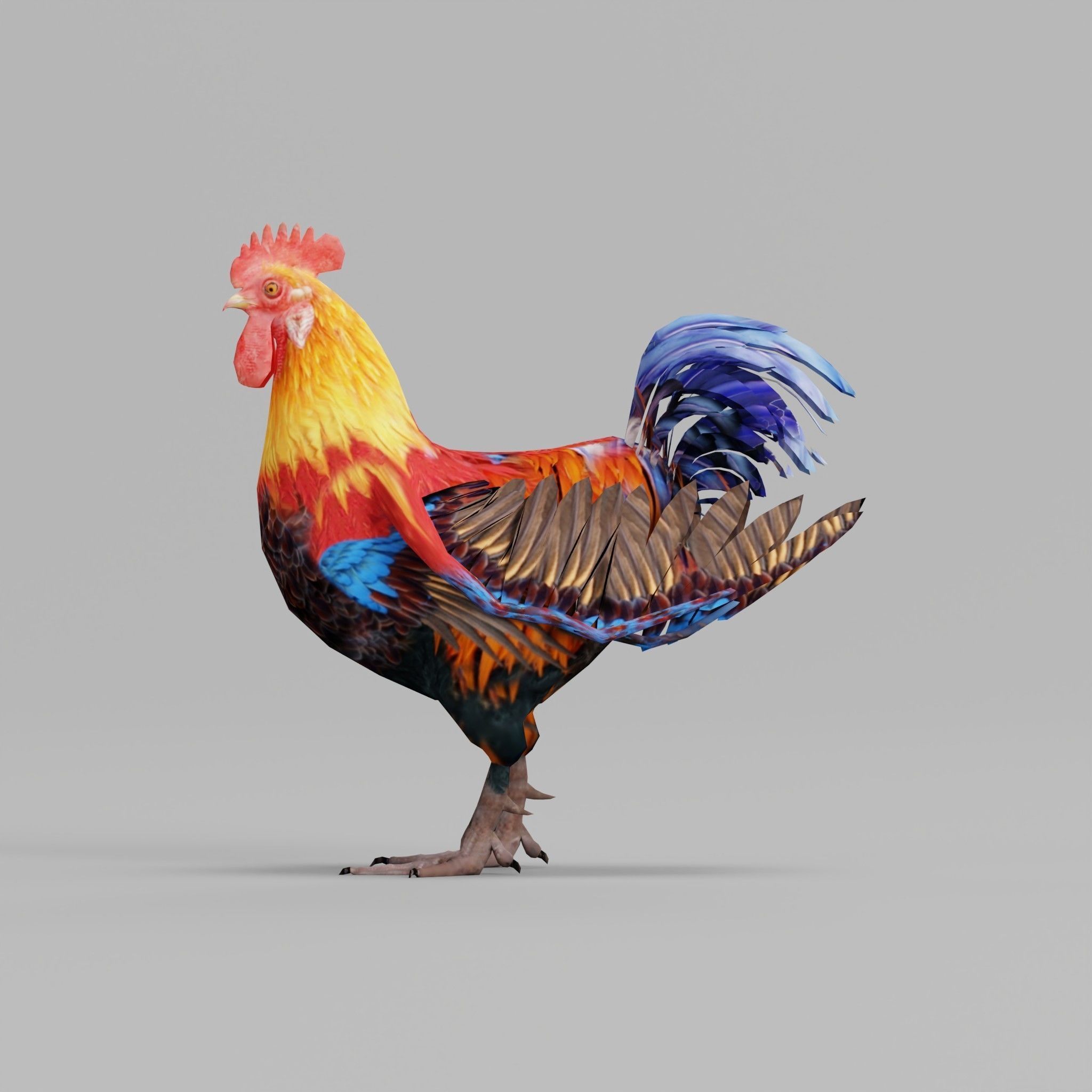 Rooster 3D model_16