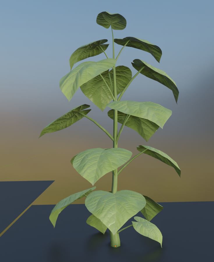 Empress-Tree 2 Meters Version Low-poly 3D model_2