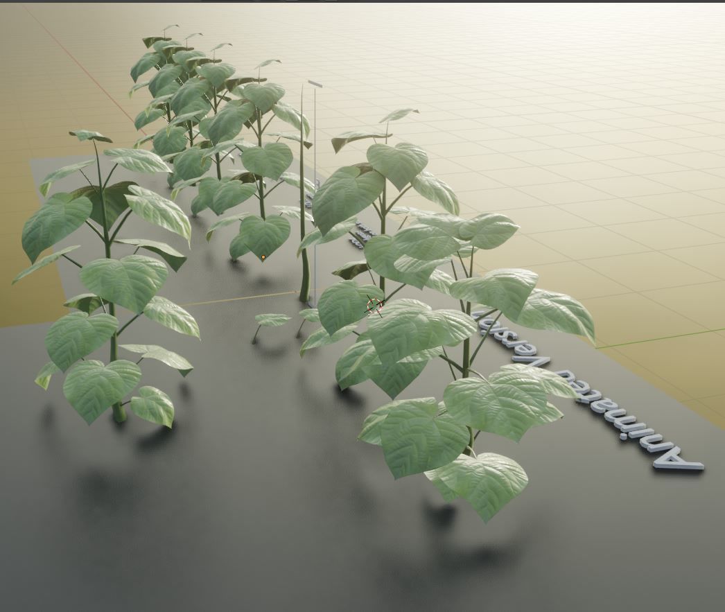 Empress-Tree 2 Meters Version Low-poly 3D model_11