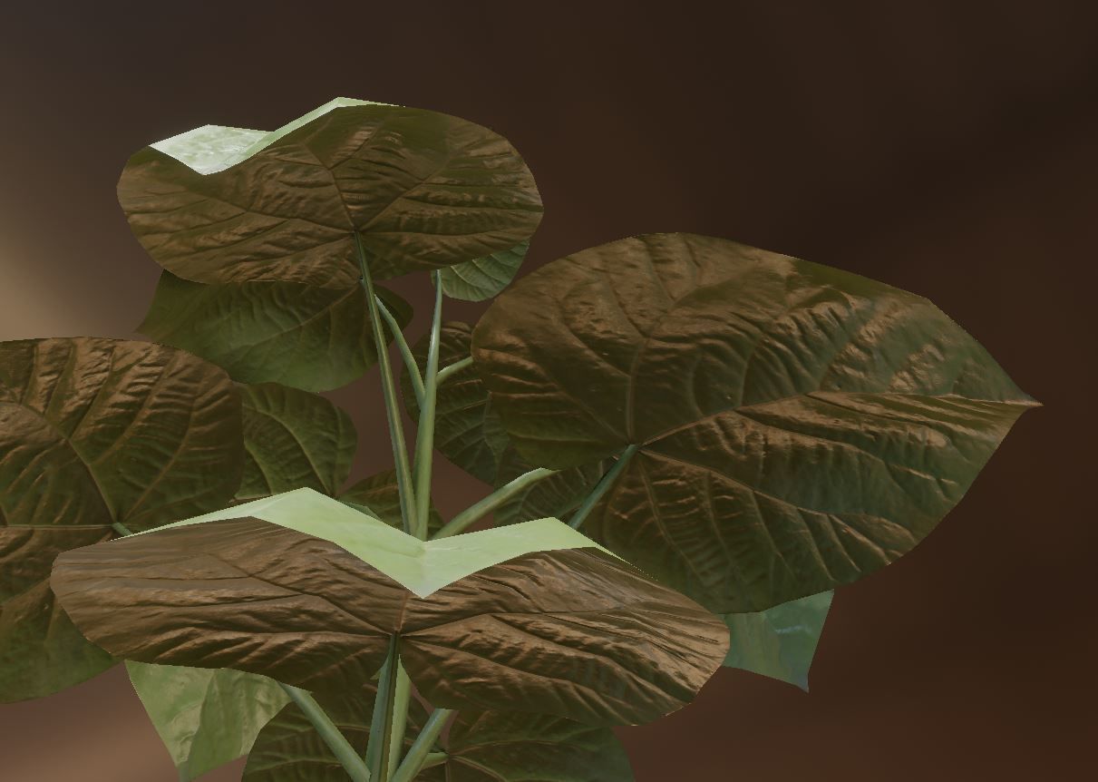 Empress-Tree 2 Meters Version Low-poly 3D model_16