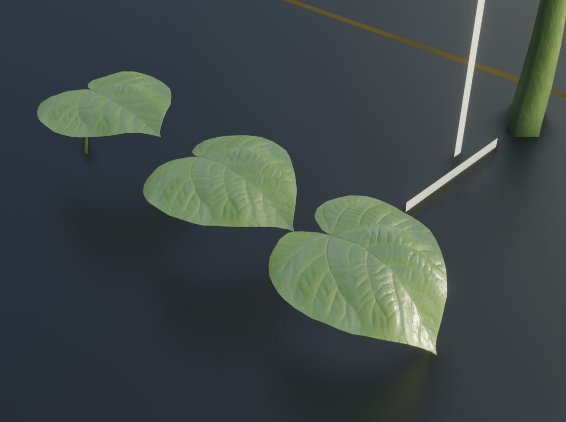 Empress-Tree 2 Meters Version Low-poly 3D model_10