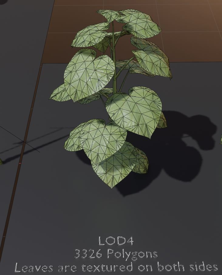 Empress-Tree 2 Meters Version Low-poly 3D model_7