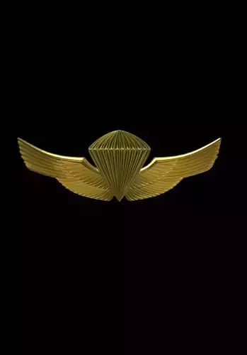 PIOCHA DE PARACAIDISMO LIBRE 