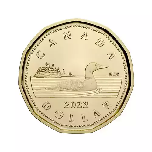 Canadian Loonie Dollar Coin Money