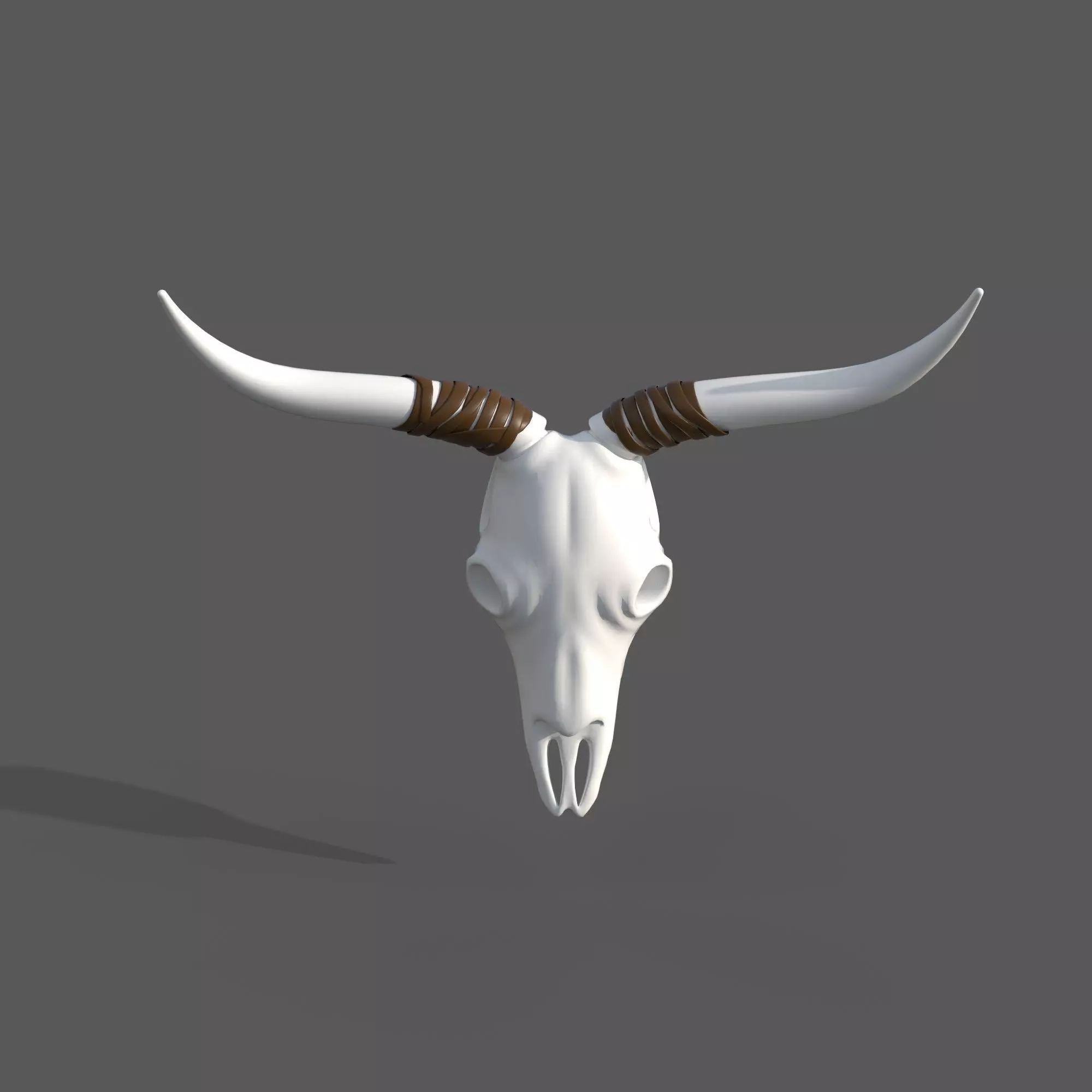 Decor Skull 3D model_0