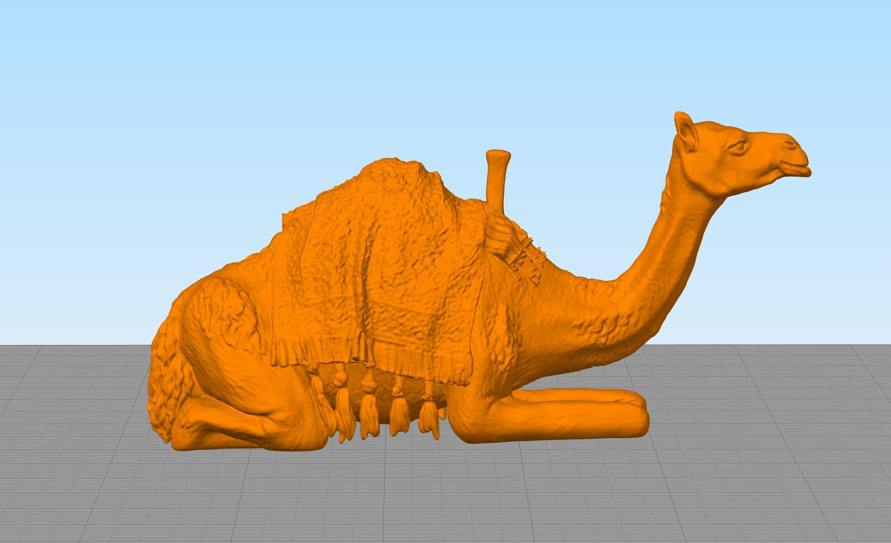 Russian writer poet Nikolai Gumilev and Camel 3D print model_8