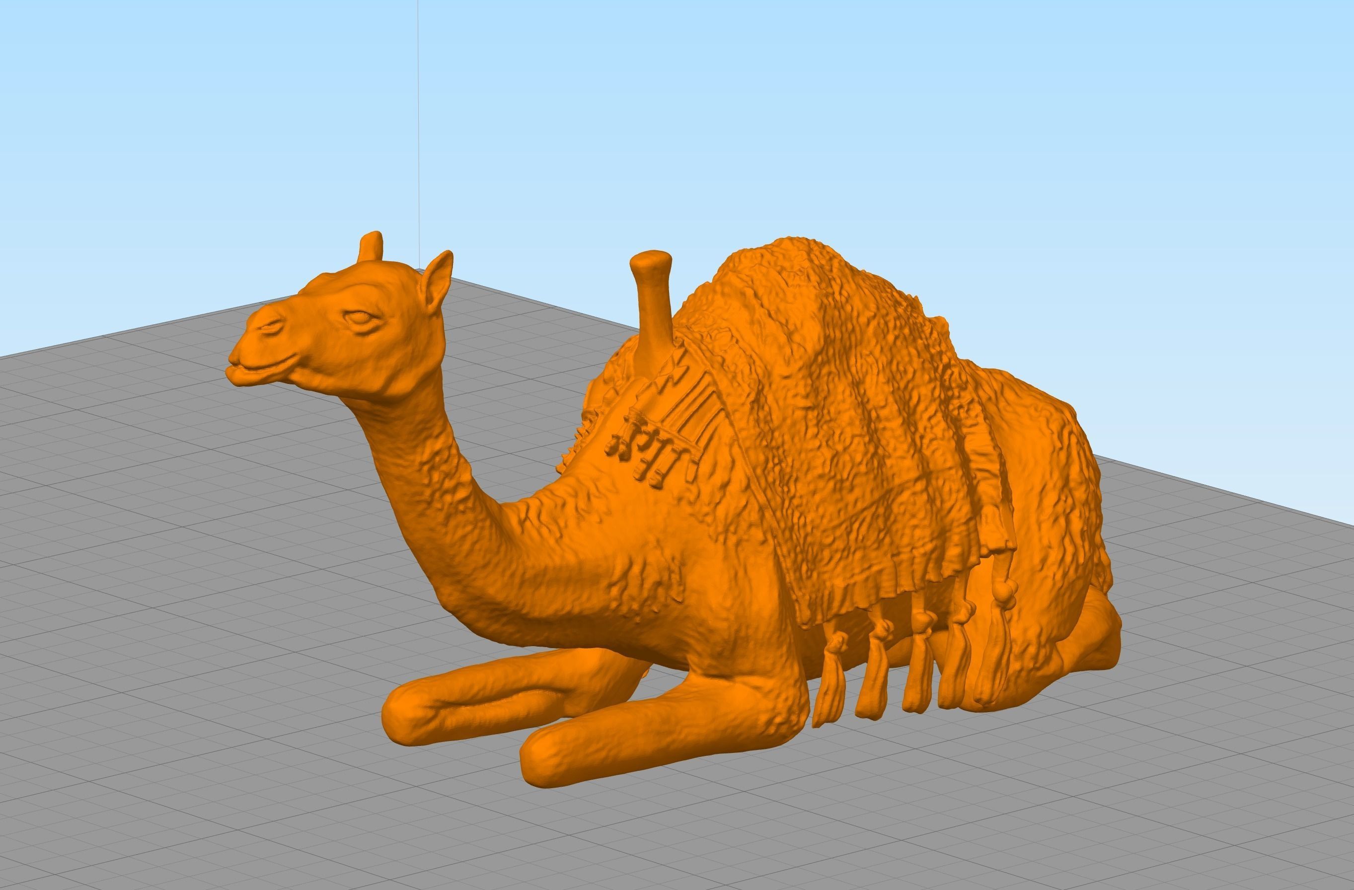 Russian writer poet Nikolai Gumilev and Camel 3D print model_7