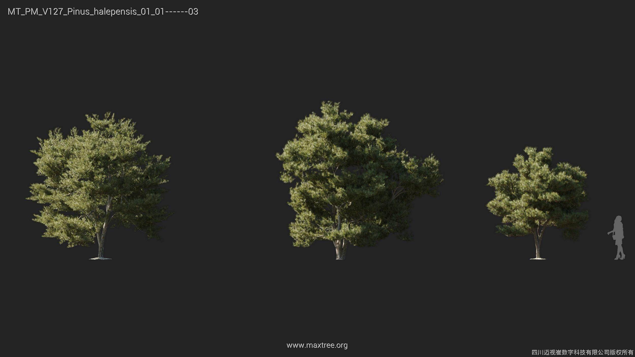 Maxtree Plant Models Vol 127 - Mesh 3D model_15