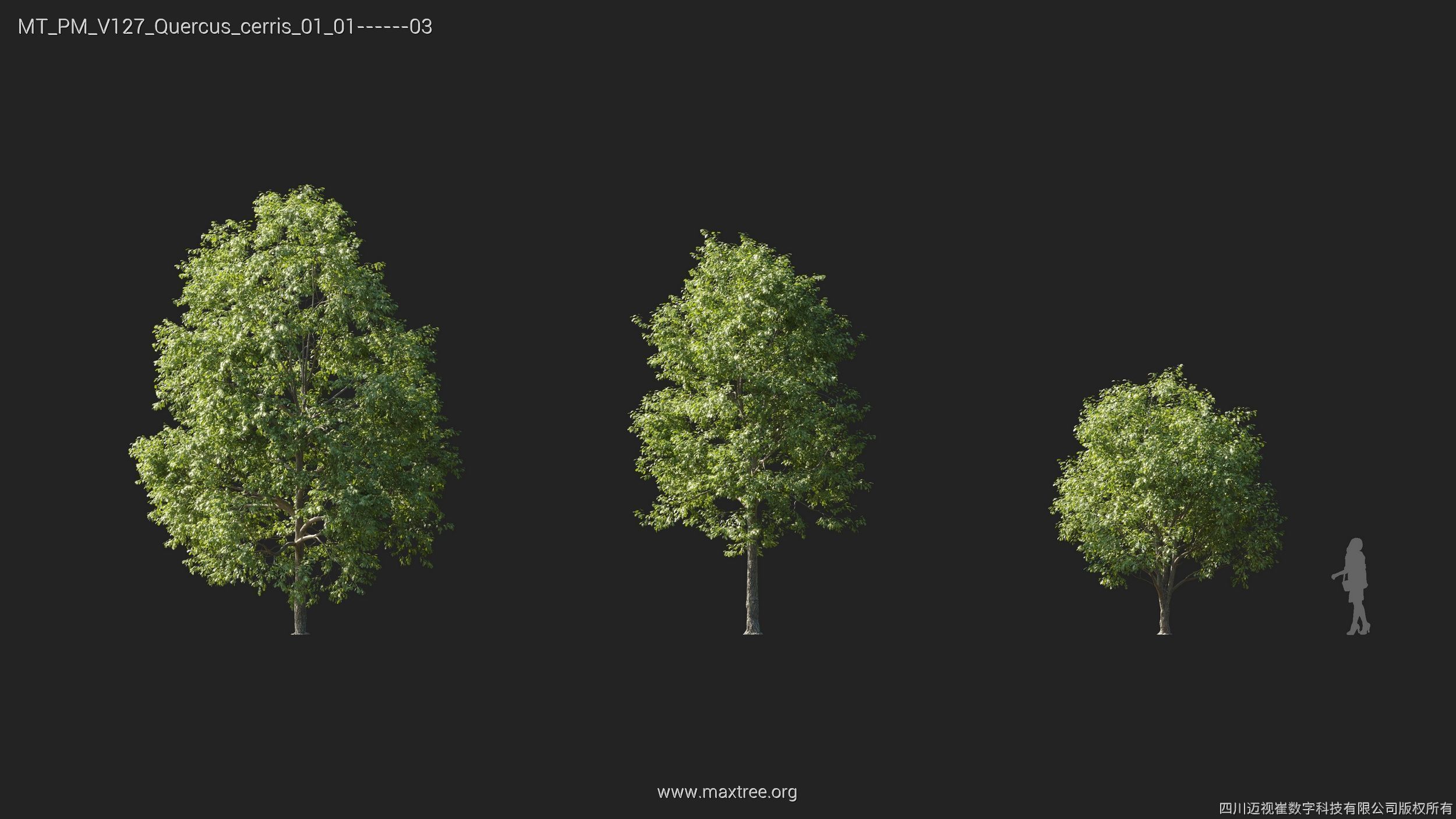 Maxtree Plant Models Vol 127 - Mesh 3D model_21