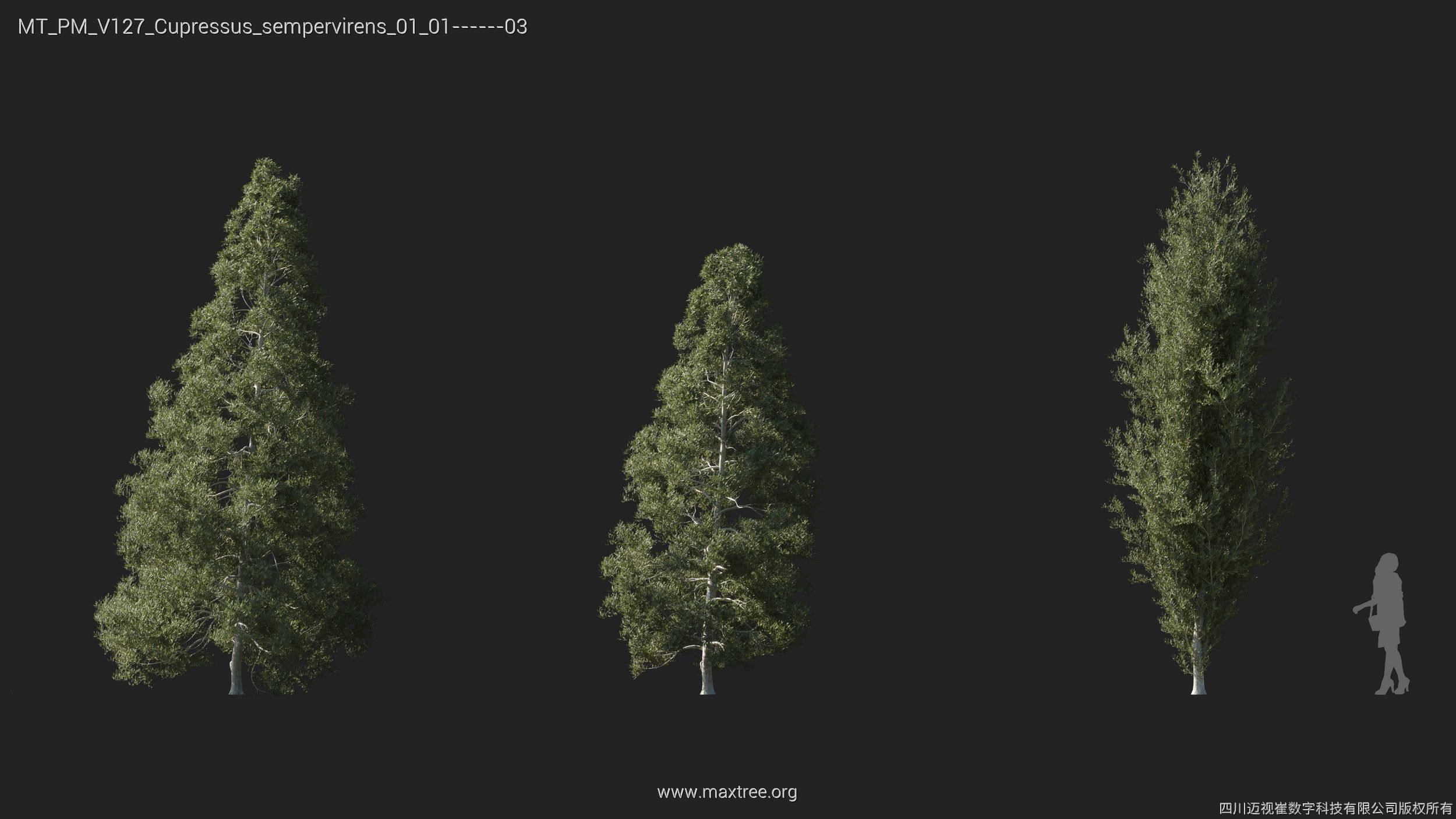 Maxtree Plant Models Vol 127 - Mesh 3D model_7