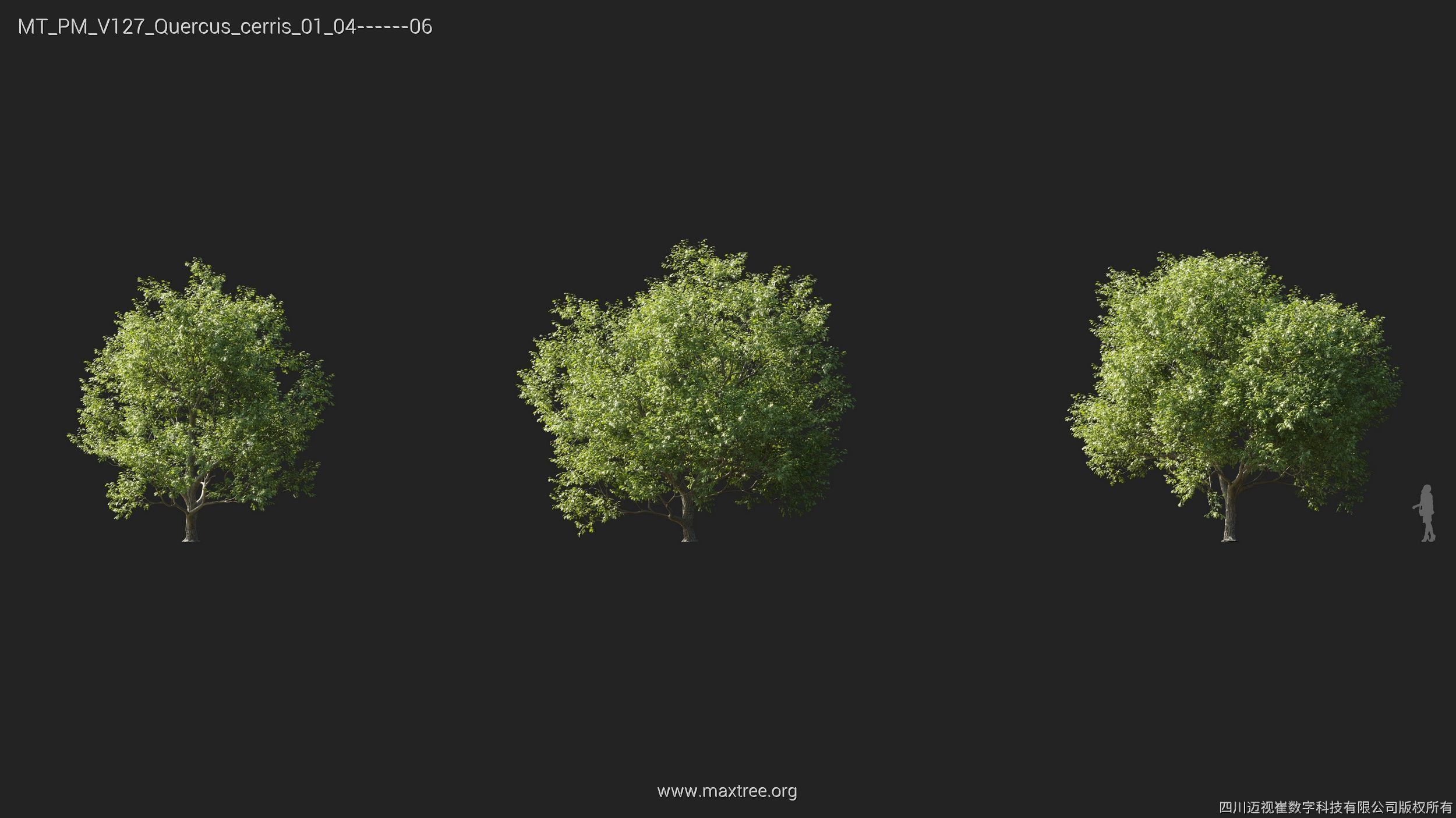Maxtree Plant Models Vol 127 - Mesh 3D model_22