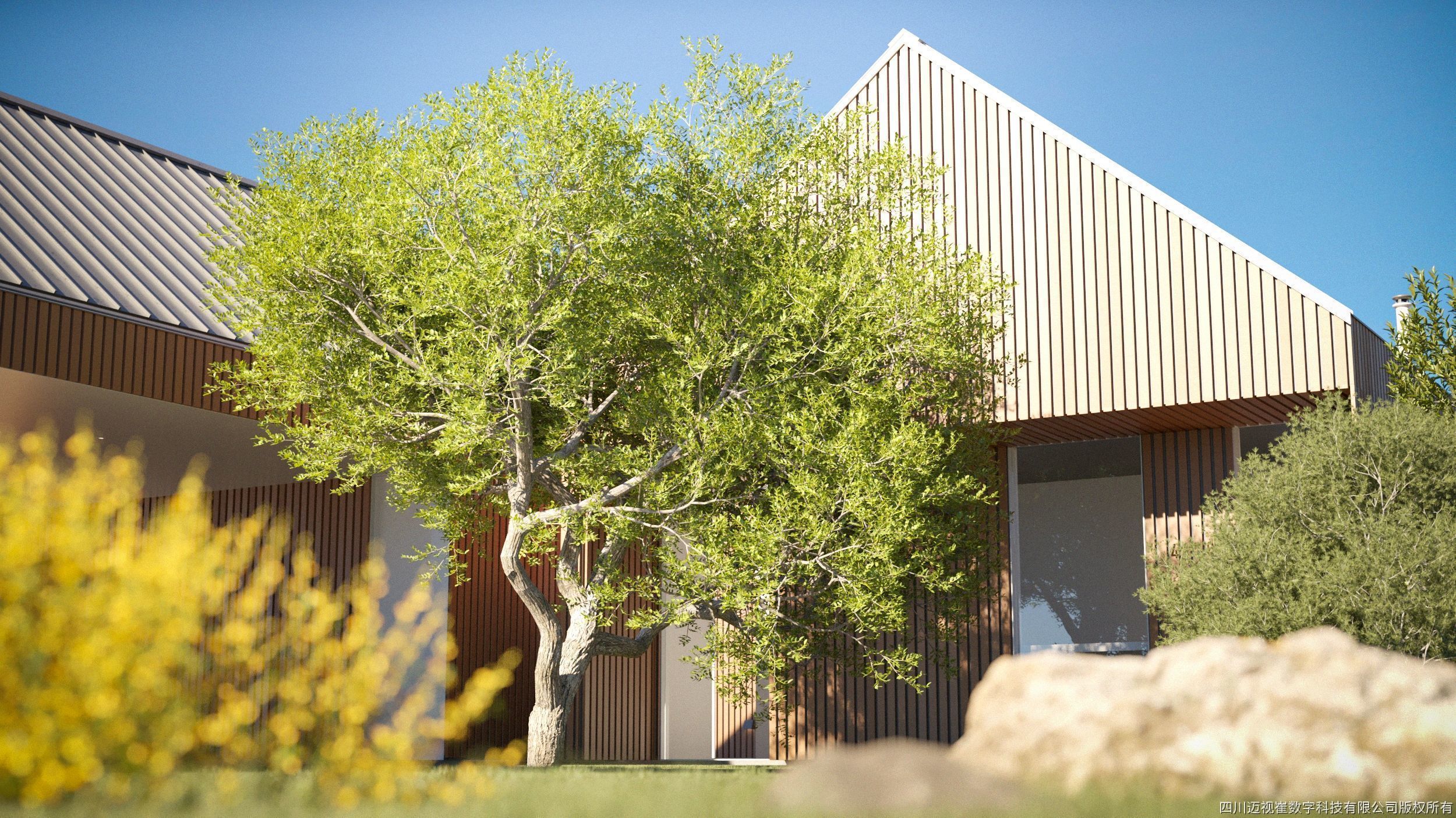 Maxtree Plant Models Vol 127 - Mesh 3D model_2