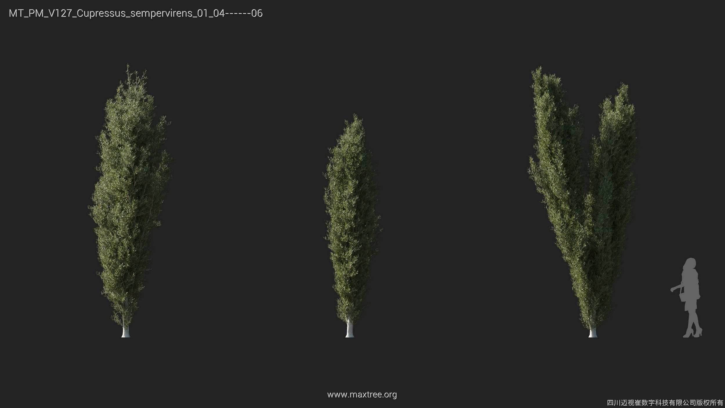 Maxtree Plant Models Vol 127 - Mesh 3D model_8