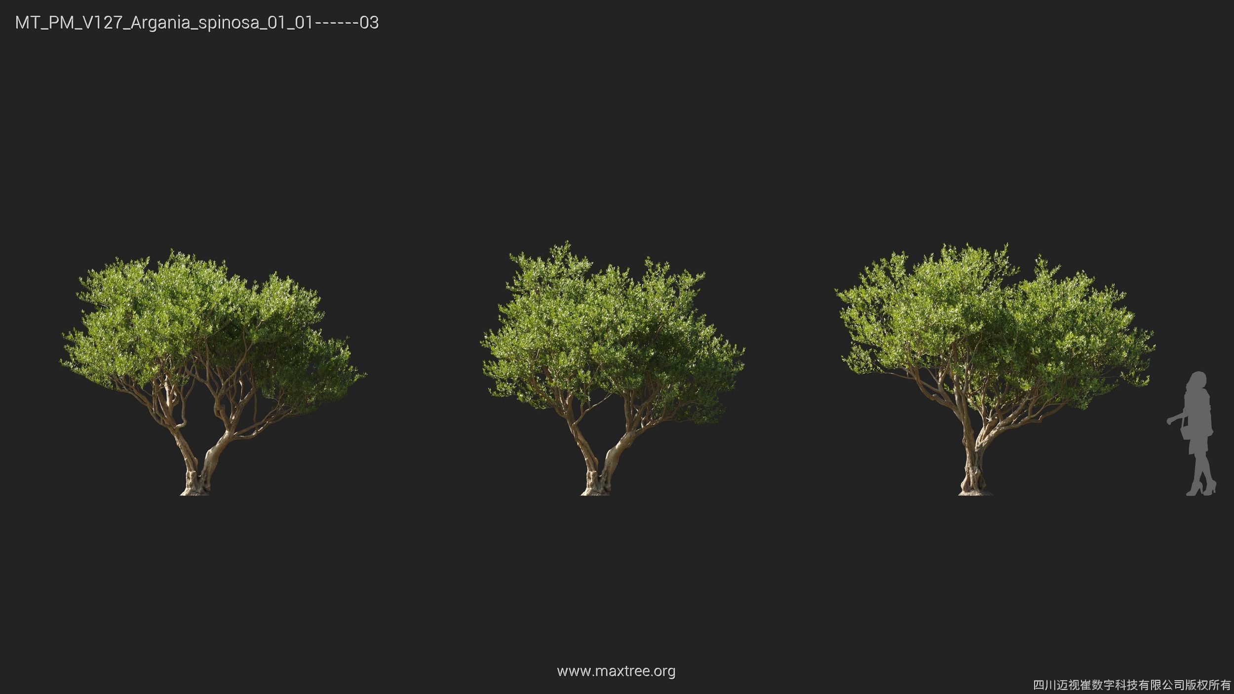 Maxtree Plant Models Vol 127 - Mesh 3D model_5