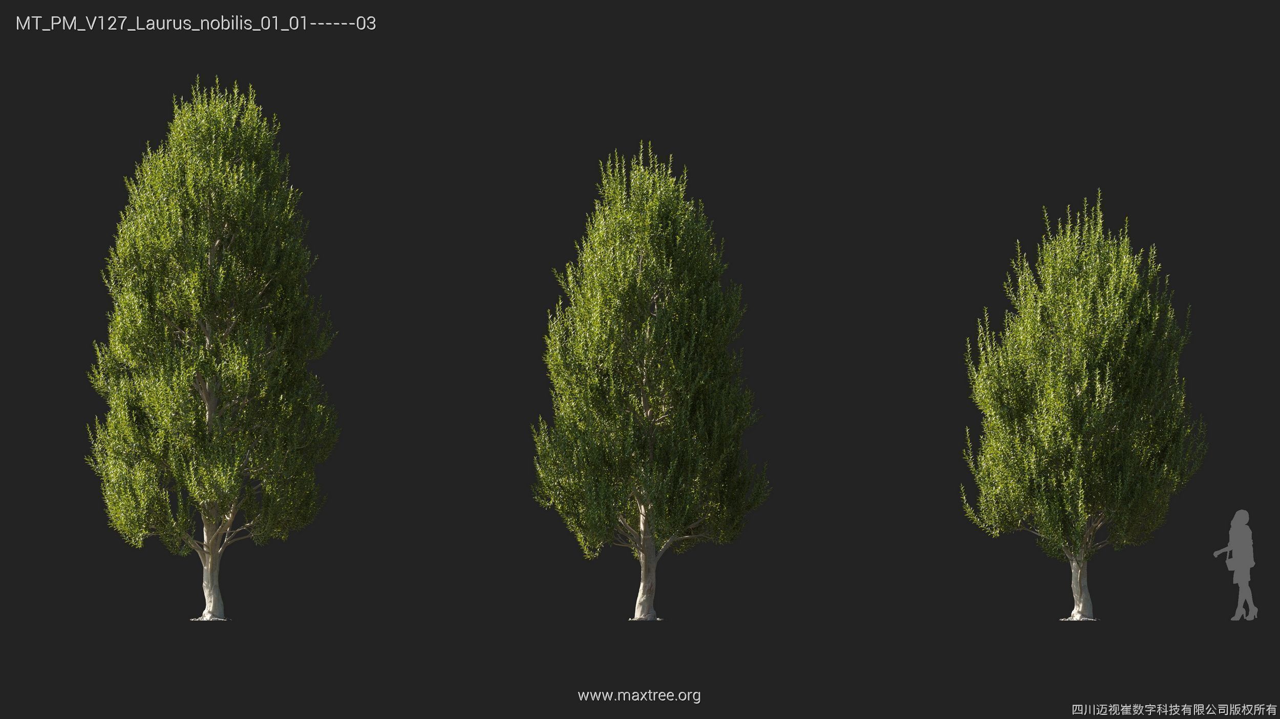 Maxtree Plant Models Vol 127 - Mesh 3D model_13