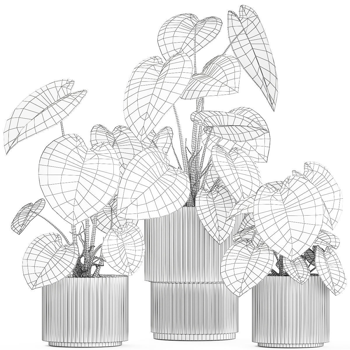 Beautiful Anthurium and Alocasia plants in flower pots 1348 3D model_13