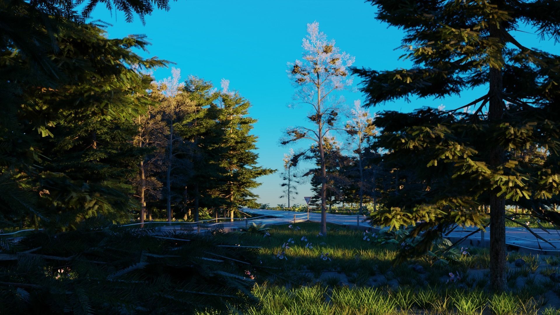 Road in the forest 3D model_5