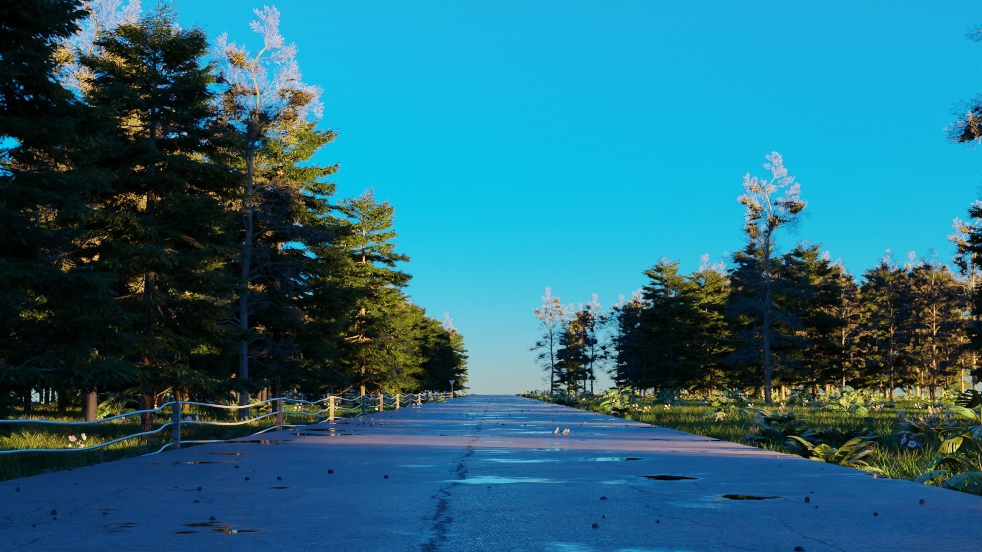 Road in the forest 3D model_4