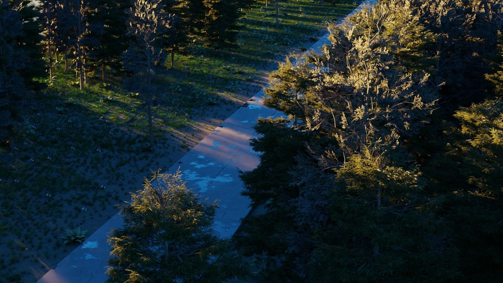 Road in the forest 3D model_3