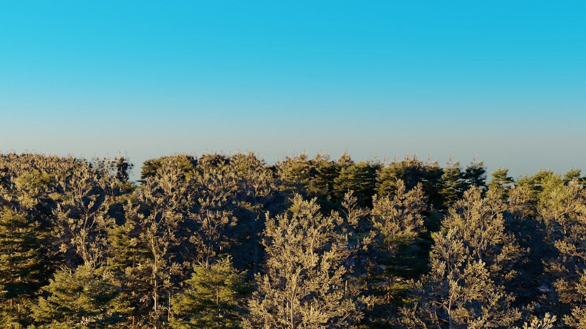 Road in the forest 3D model_7