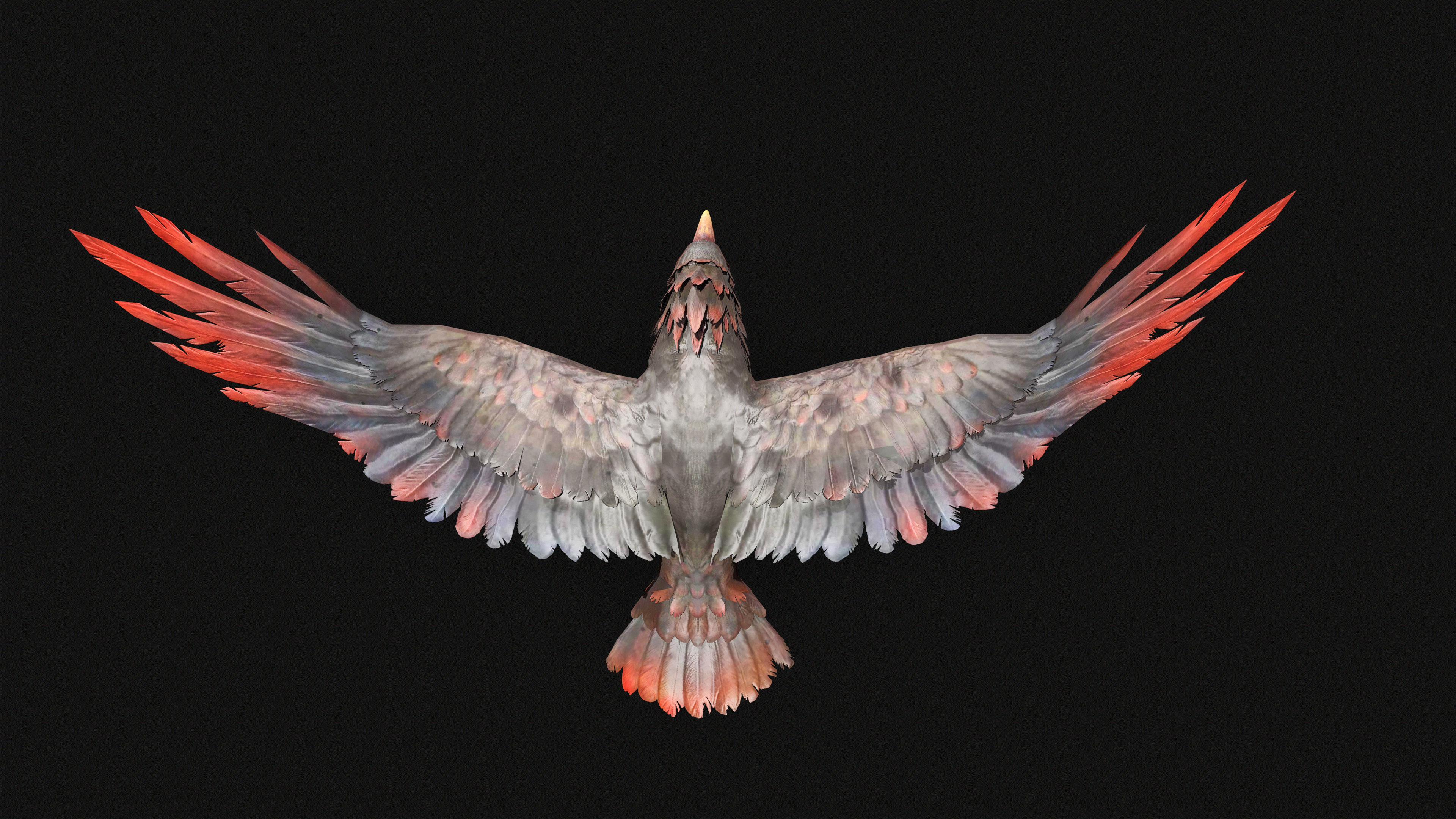 Low Poly Bird 3D Animal Ready for Games 18 Animations Low-poly 3D model_3