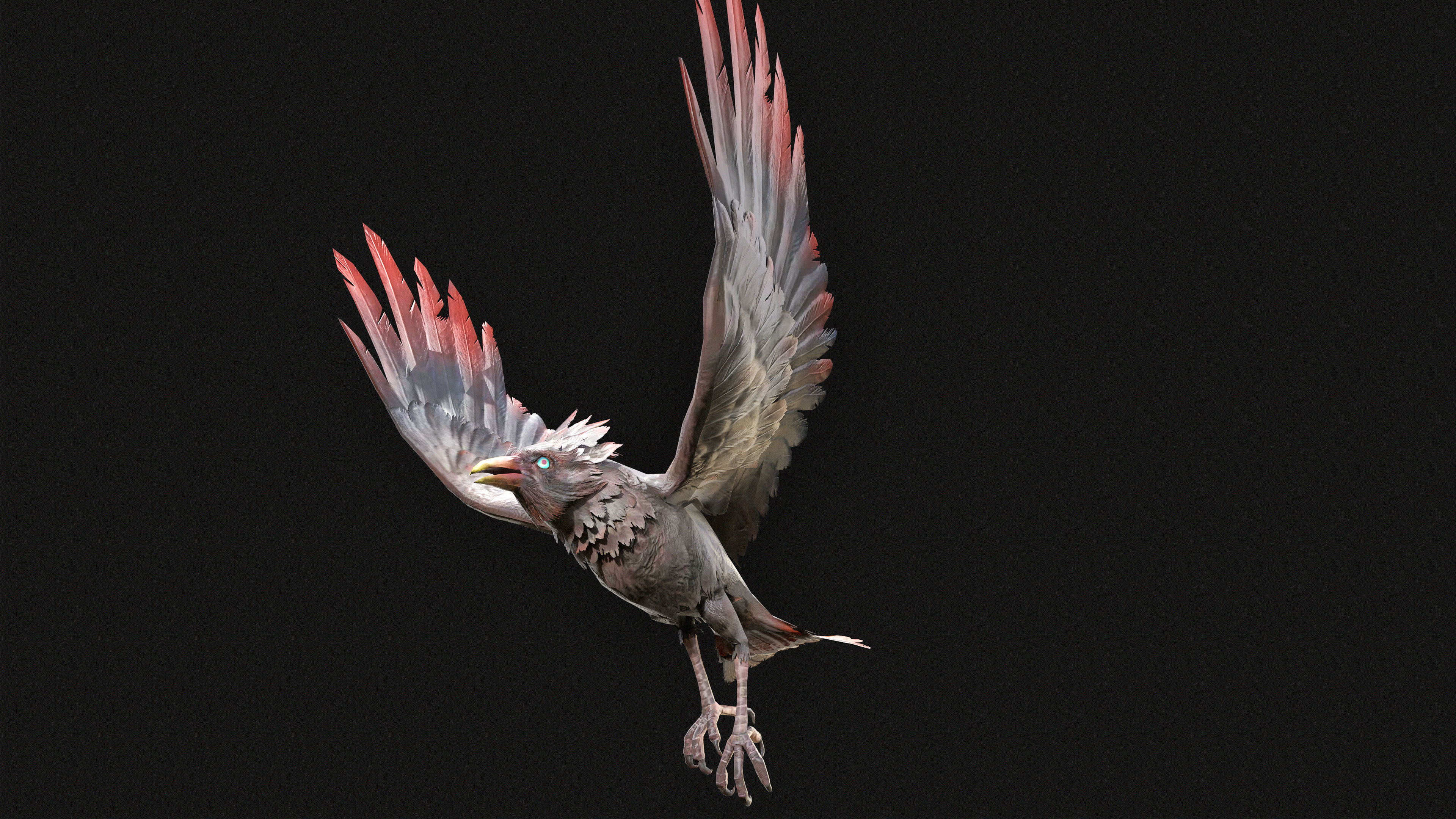 Low Poly Bird 3D Animal Ready for Games 18 Animations Low-poly 3D model_4