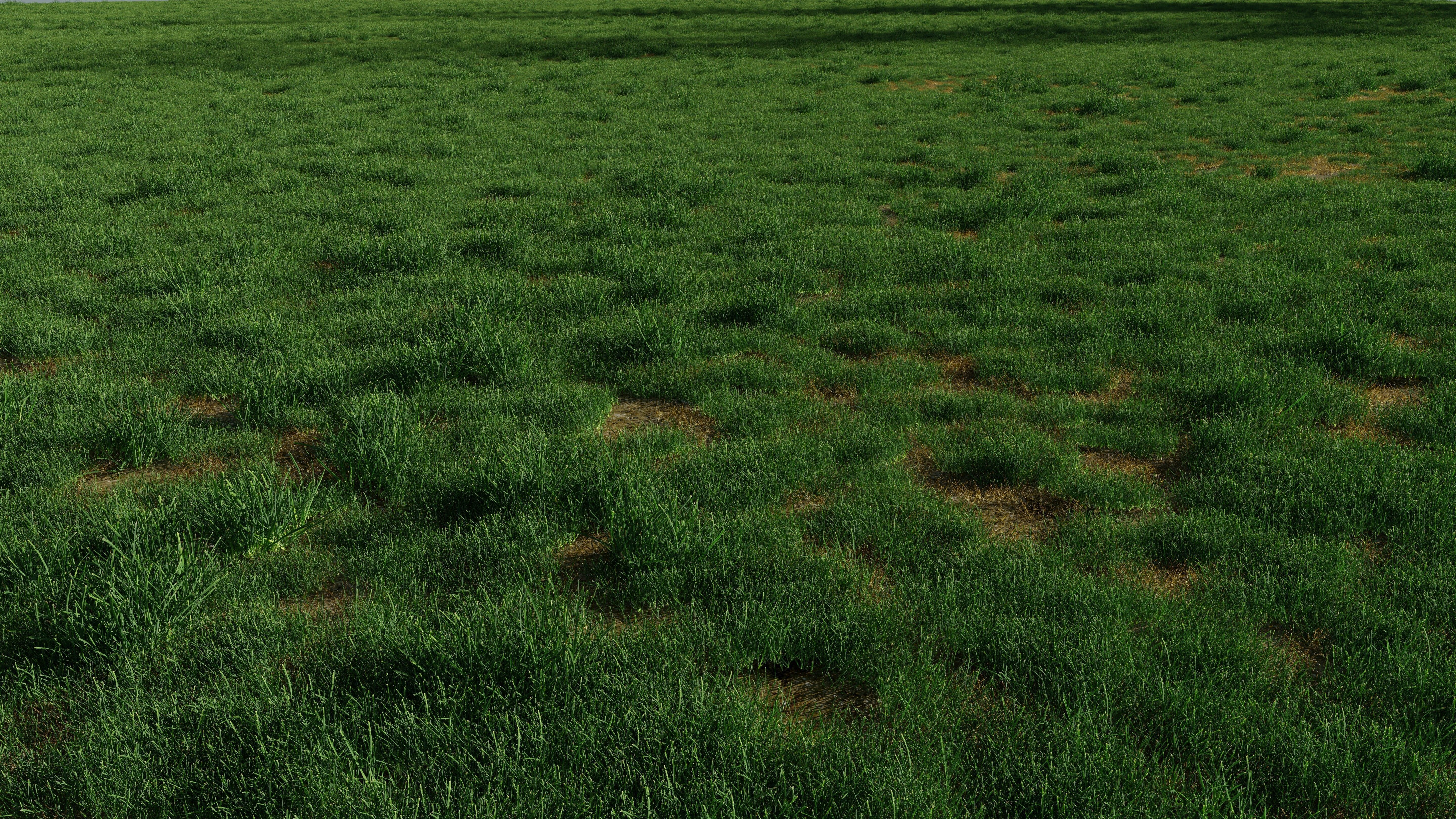 Realistic Grass with Patches Generator and Animation PBR 3D model_3
