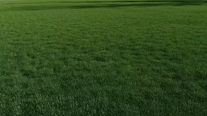 Realistic Grass with Patches Generator and Animation PBR 3D model