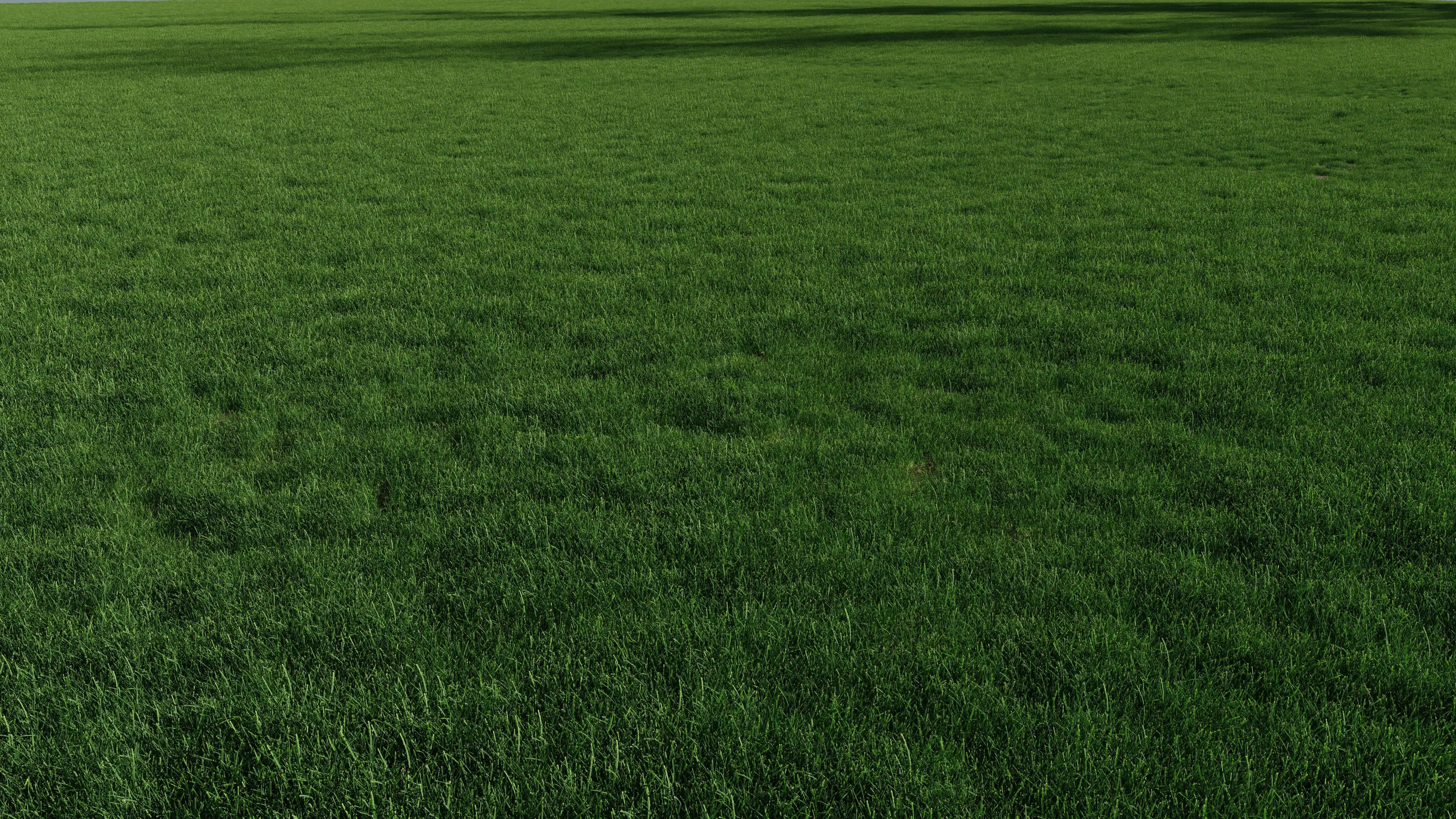 Realistic Grass with Patches Generator and Animation PBR 3D model_0