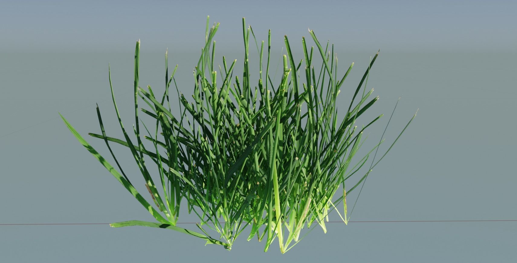Realistic Grass with Patches Generator and Animation PBR 3D model_4