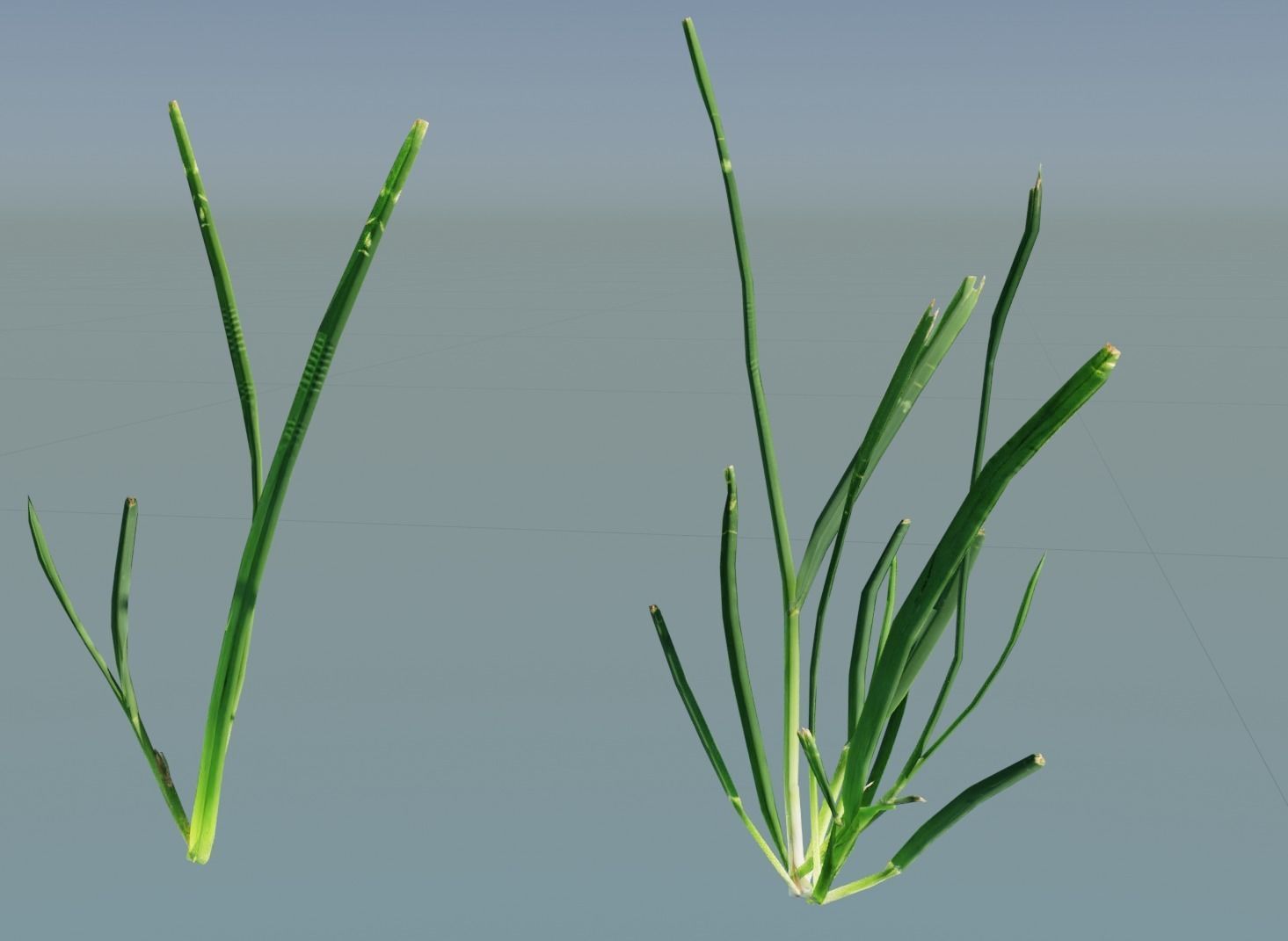 Realistic Grass with Patches Generator and Animation PBR 3D model_7
