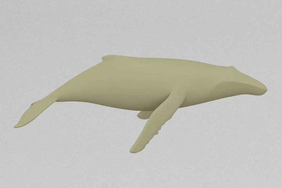 Whale 3D print model_0